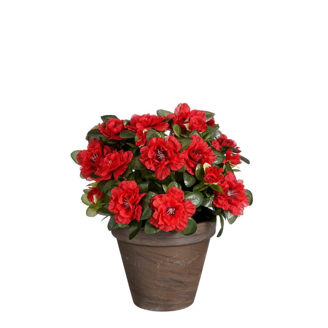Artificial Azalea Plant in Flower Pot Stan - H31 x Ø26 cm - Red