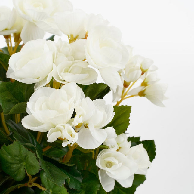 Artificial Begonia Plant in Flower Pot Stan - H30 x Ø25 cm - White